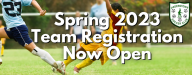 Spring Team Registration